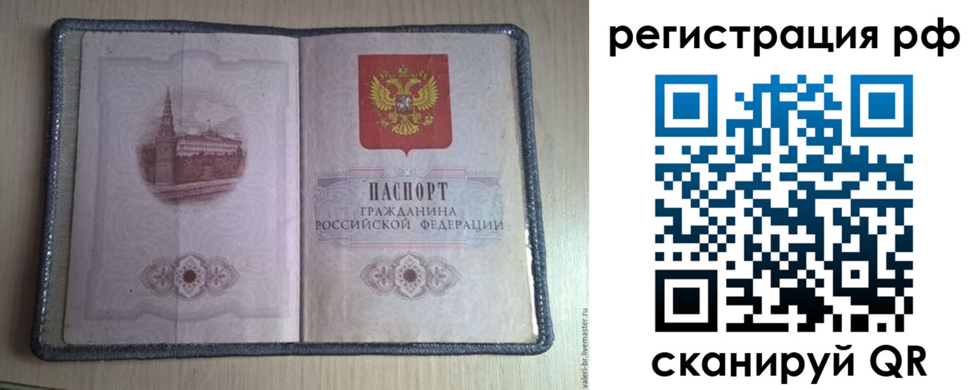 прописка поиск в Ершове